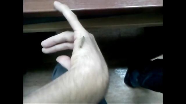 Scutigera смотреть онлайн