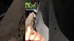 Mersedes ML GL 164   Замена лампочки габарита в фаре.