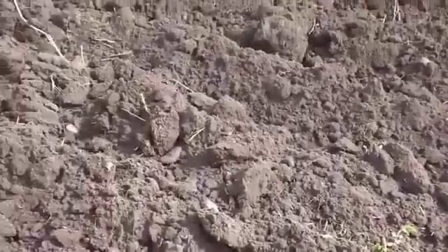Самодельный трактор из мотоблока Нева смотреть онлайн