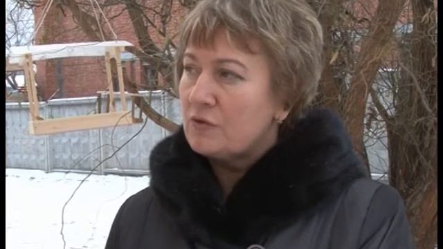 В саратовских учебных заведениях проходит акция "Покормите птиц" смотреть онлайн
