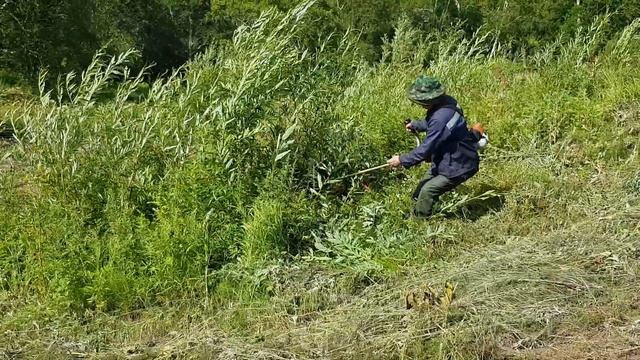 Косим деревья!! смотреть онлайн