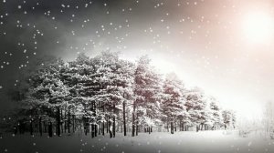 Футаж. Зимний пейзаж 48