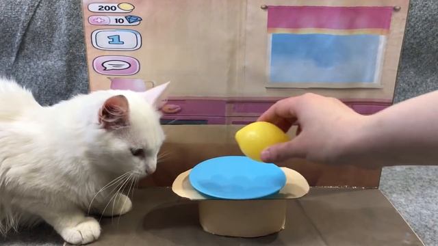 My Talking Angela in real life. DIY смотреть онлайн