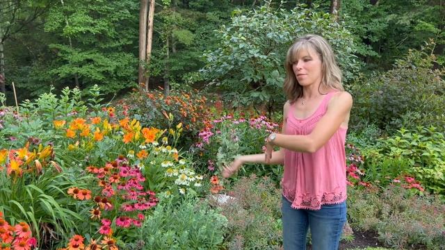 2022 SUMMER PERENNIAL GARDEN TOUR W/ PLANT TOUR & NAMES // DEPTH & LAYERING COLOR // BREAK THE RULE смотреть онлайн