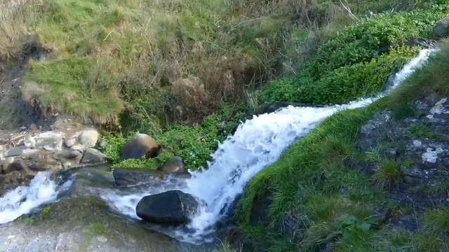 Как научиться сбрасывать с себя чужую энергию? смотреть онлайн