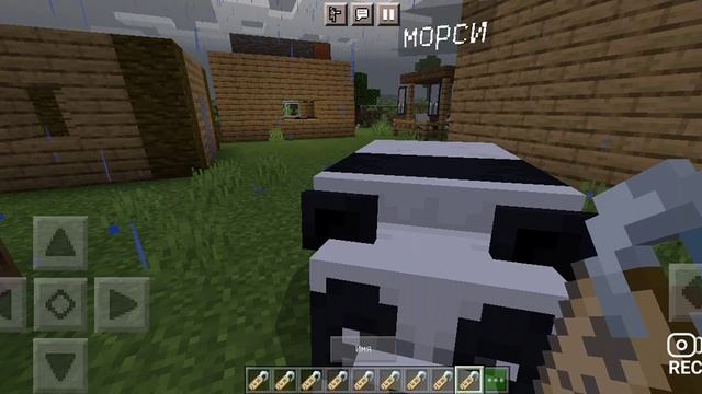 дал имена. своим животным в Minecraft смотреть онлайн