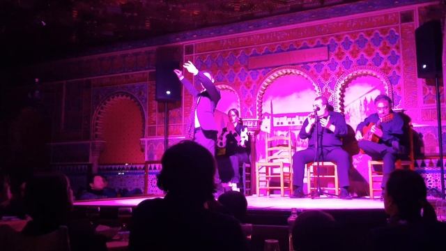 Flamenco Madrid | Tablao Flamenco Torres Bermejas | Spagna | Espana смотреть онлайн
