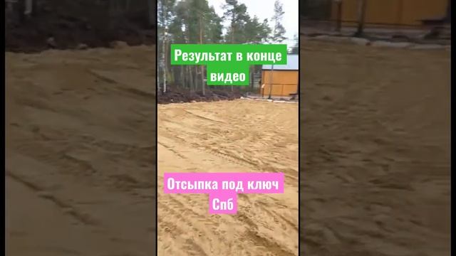 ИДЕАЛЬНАЯ РАСЧИСТКА УЧАСТКА / Дренаж #благоустройство #стройка #дача #участок #дренаж #дом #shorts смотреть онлайн