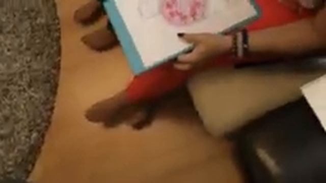 О. Николаева - Фэншуй аудит квартиры (нанесение секторов на план квартиры) смотреть онлайн