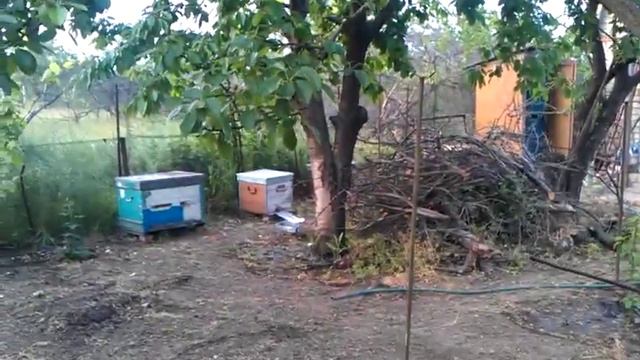 Дача Никополь