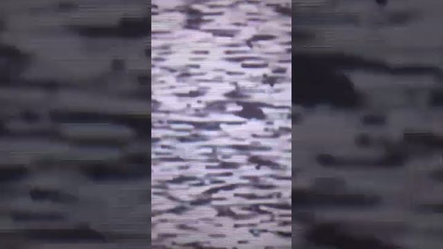 СКАЧАЛ МАЙНКРАФТ С ПИРАТСКОГО САЙТА смотреть онлайн