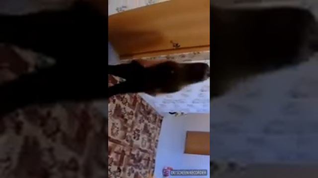 Андертейл в реальной жизни (реакция) смотреть онлайн