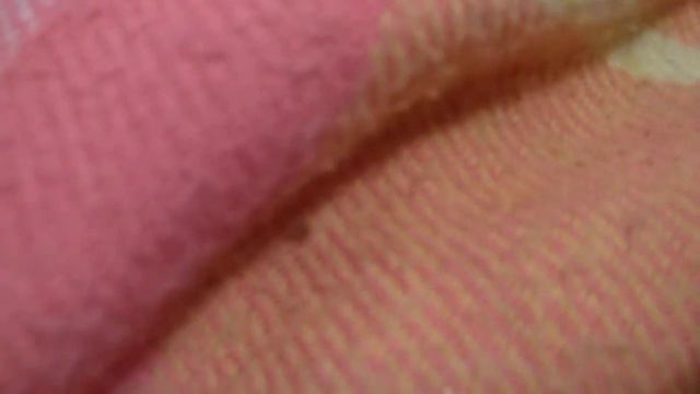 срочно ввр потест кремоз озуела сука врот мне зарубить топором Троцкого и губернаторов. виду на