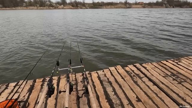 Рыбалка на сазана клёв рыбы на снасть флэт-фидер, хороший улов карпа весной 2023 смотреть онлайн