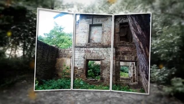 Усадьба Казимира Мсциховского Ч 2 Библиотека Estate Of Casimir Part 2 Of The Library смотреть онлайн