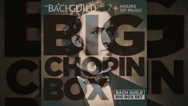 Preludes, Op. 28: No. 17 in A-flat Major: Allegretto смотреть онлайн