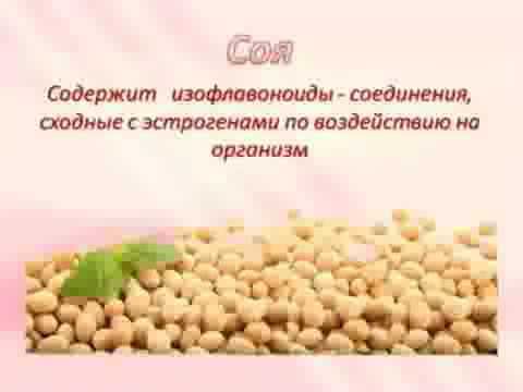 Видео презентация о Фемсин, Доктор Нонна смотреть онлайн