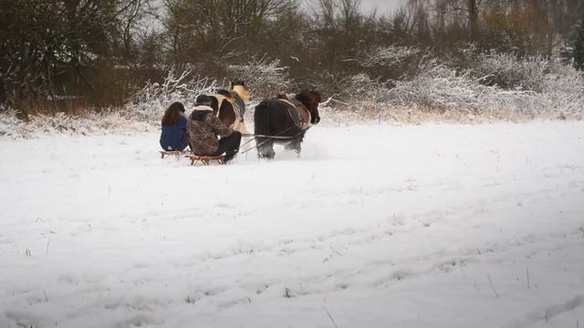 А пони тоже кони. Январь 2014 года смотреть онлайн