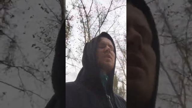 Мои родные места) смотреть онлайн