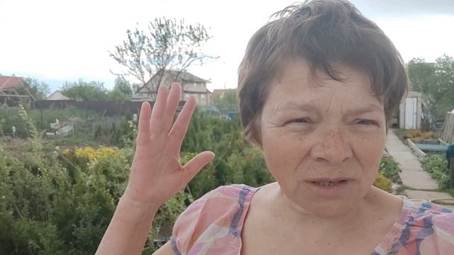 Свой питомник растений. Полезные советы начинающим. Как сохранить растения в кадках. смотреть онлайн