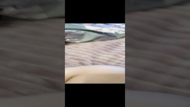 это видео смр попрыгунчики слежкой замела смотреть онлайн
