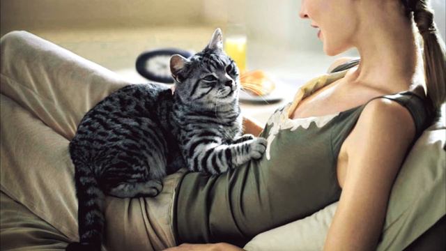 Без слов #15 [Кошак] 1000 thanks✌ смотреть онлайн