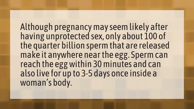 Can you get pregnant in 5 minutes? смотреть онлайн