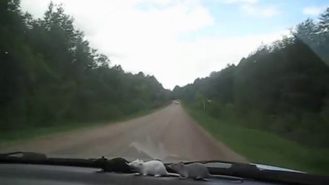 Мышкин. Часть первая. 