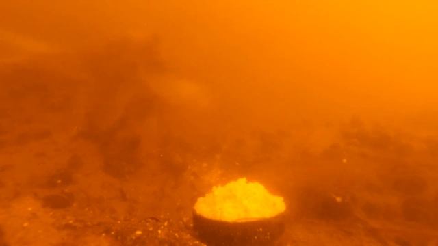Подводный тест прикормки - Печенье Топлёное Молоко смотреть онлайн