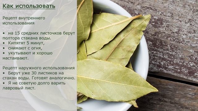 Листья у КОТОРЫХ ЖИВИТЕЛЬНАЯ сила! Делайте Такой ВОТ ОТВАР смотреть онлайн