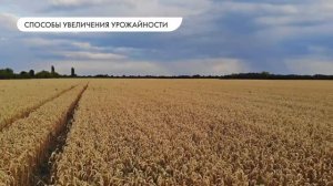 Изменение природы в результате деятельности человека