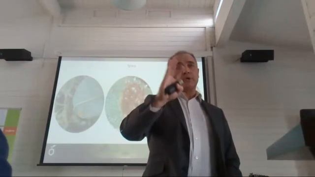 Семинар Сингента смотреть онлайн