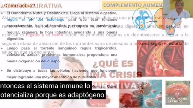 Cómo actúa - Crisis curativa. Ganoderma Lucidum de Gano Excel смотреть онлайн