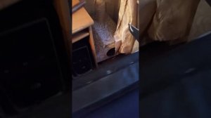 мебель от фирмы нонтон не советую там заказывать