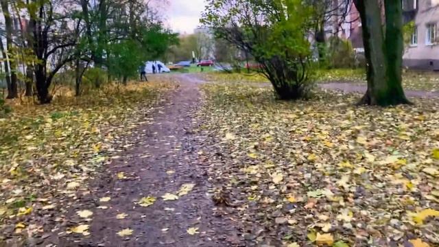 Всем прекрасного дня пошли прогуляться всех с днем Единства РОССИИ 4.11.+ 4 смотреть онлайн