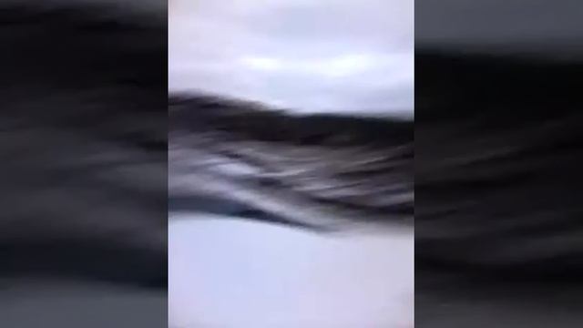 Как выглядит настоящий дорожник? смотреть онлайн