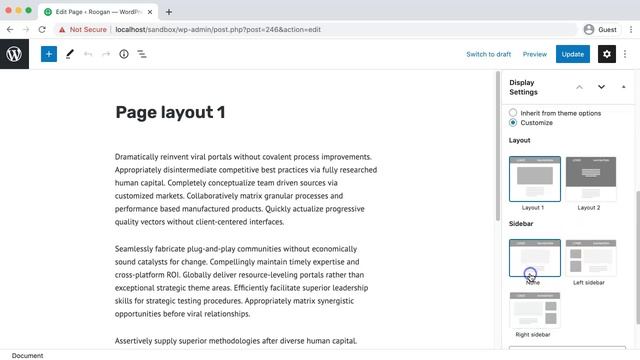 Page display options override - Roogan WordPress theme смотреть онлайн