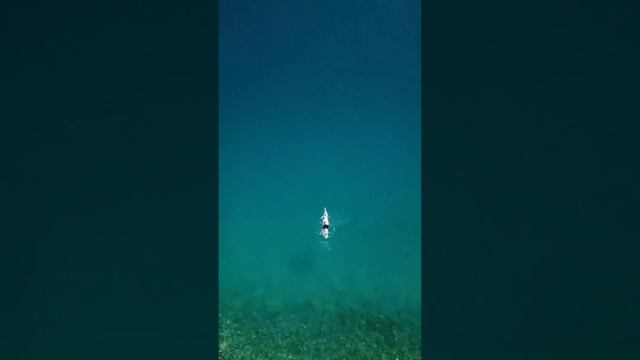 🇰🇬Иссык-Куль 2023 #кыргызстан #иссыккуль #природакыргызстана #киргизия #чолпоната #пляжииссыккуля смотреть онлайн