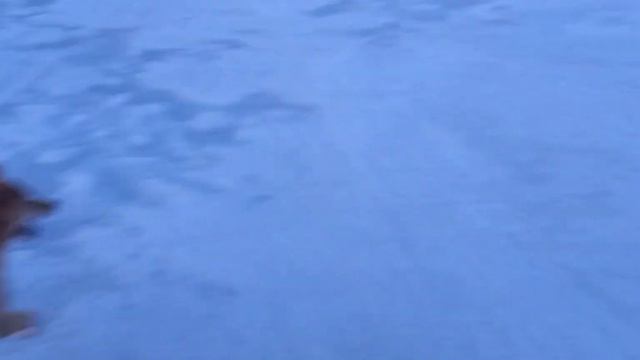 озеро вольду ,утки нет .лодку по льду тащим смотреть онлайн