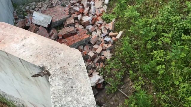 Монолитный одноэтажный дом с цокольным этажом и плоской крышей/ Мытищинский район - 1 серия смотреть онлайн