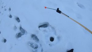 Рыбалка на хариуса на реке Березовая (Часть 1/2)