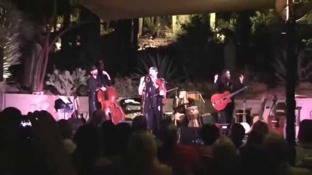 TRAVELER / Hava Nagila