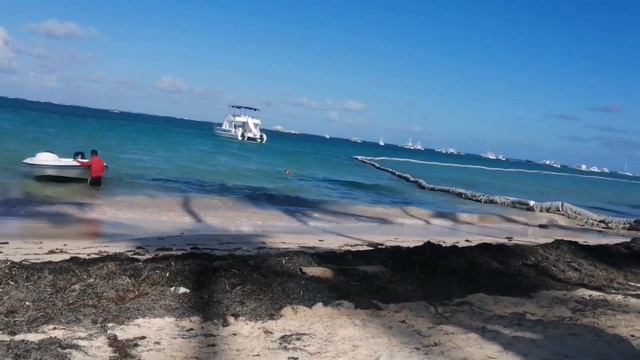Punta Cana Playa cabeza toro смотреть онлайн