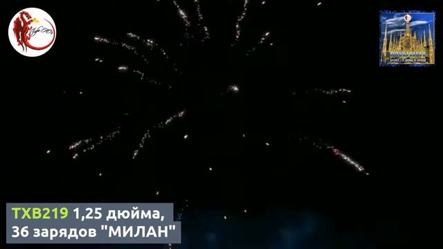 TXB219 1,25 дюйма, 36 зарядов "МИЛАН" смотреть онлайн