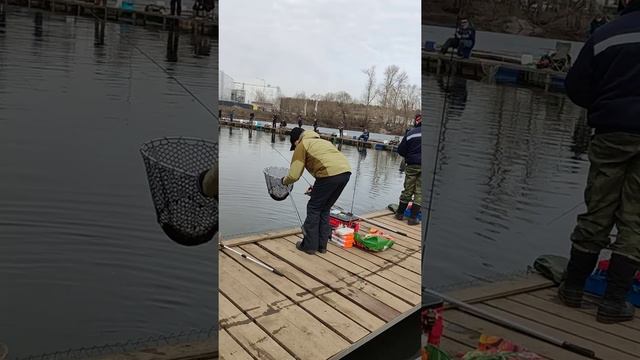 15.04.22 КРХ Белая Дача,форель активна!!! смотреть онлайн