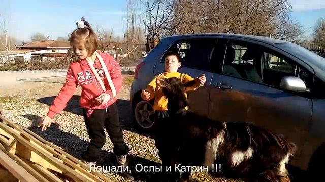 ОбХОХОчись с ЭТИМ видео НЕ ПОЖалеЙ посмотри ПОдружка-КОЗА БОДАЕТСЯ смотреть онлайн