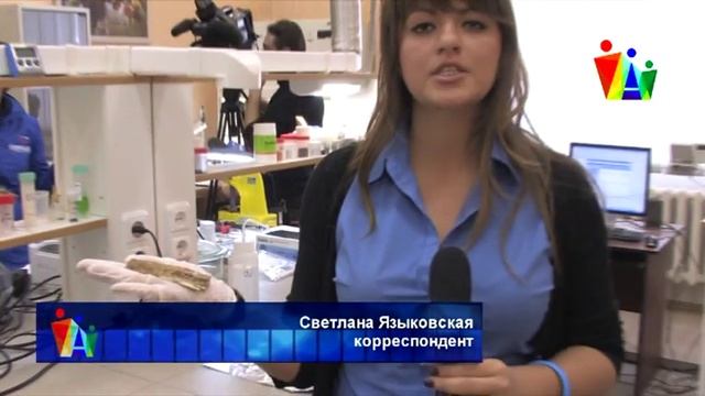 Как определяют возраст костей животных? смотреть онлайн