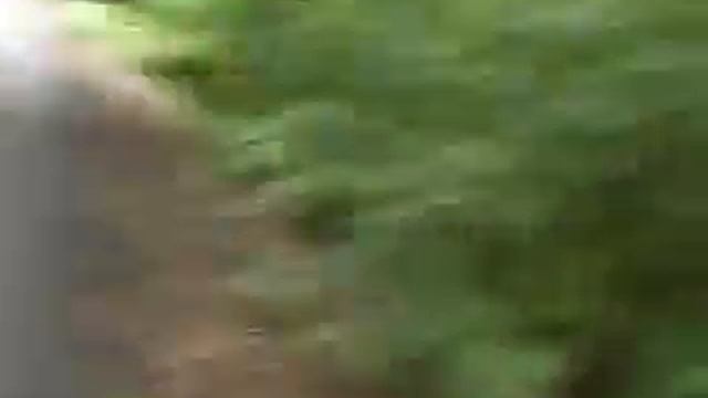 Ghetto Golf смотреть онлайн