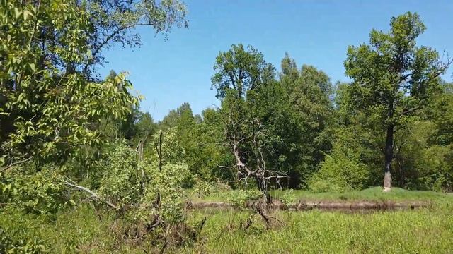 Рошаль-оз. Смердячее-Рошаль Лайтовый маршрут. Часть 1, солнечная. смотреть онлайн