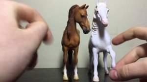 Collecta Horses/Лошади коллекта - Новинки